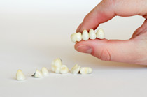 A selection of Dental Crowns and bridges